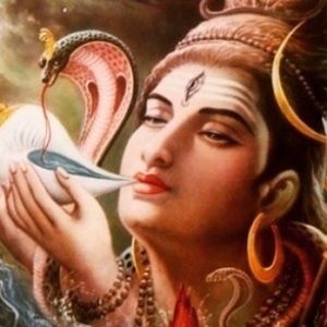 Meet your Posher, Sadhana